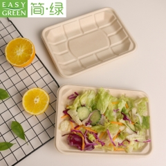 Easy Green bagasse pulp tray plate for fresh green salad, fruit etc.