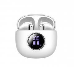Deep Bass Stereo Ear Buds LED Display Y20