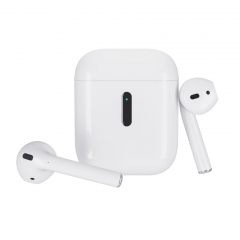 Earbuds Pods SK20