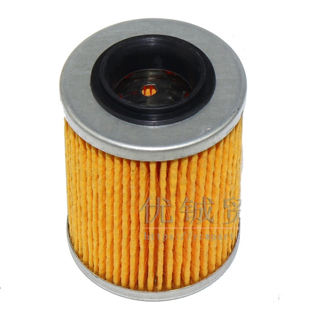 Oil Filter Assembly for CF MOTOR 800cc ATV