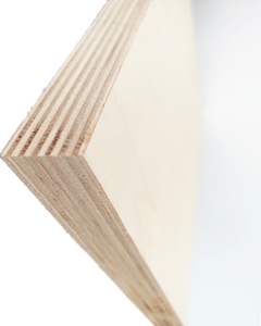 Birch
Plywood