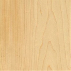 Maple Veneered Plywood