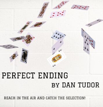 Dan Tudor - Perfect Ending