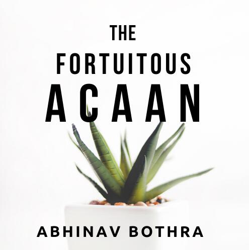 Abhinav Bothra - The Fortuitous ACAAN