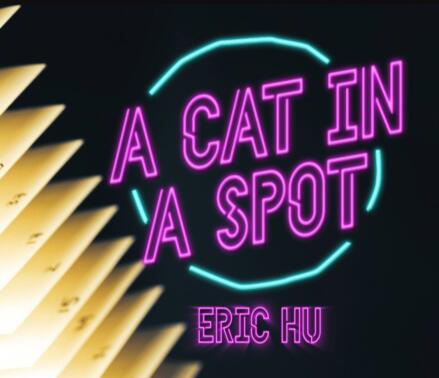 Eric Hu - A Cat in a Spot