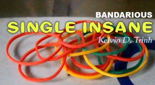 Kelvin Trinh - Single Insane