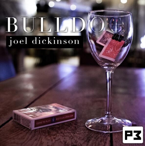 Joel Dickinson - Bulldog