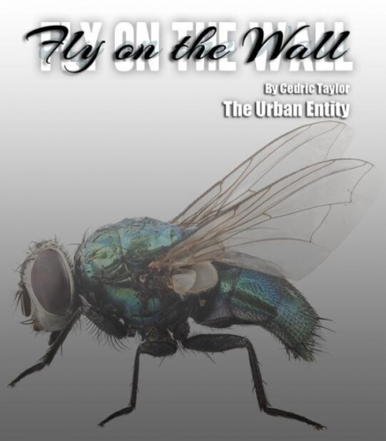 Cedric Taylor - Fly On The Wall
