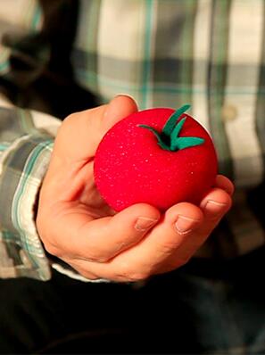 Under Magic - The Incredible Growing Sponge Tomato