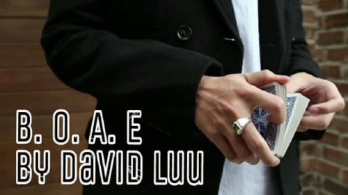 David Luu - Blink Of An Eye