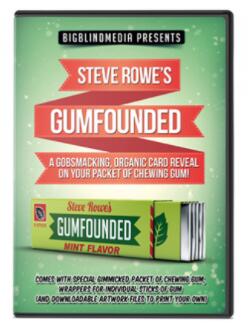 Steve Rowe - Gumfounded