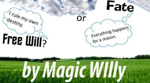 Magic Willy - Fate or Free Will