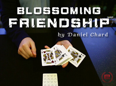 Blossoming Friendship by Daniel Chard