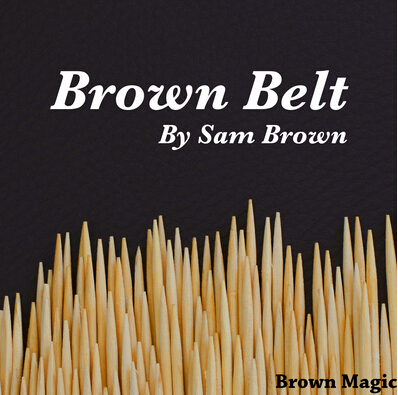 Brown Belt by Sam Brown