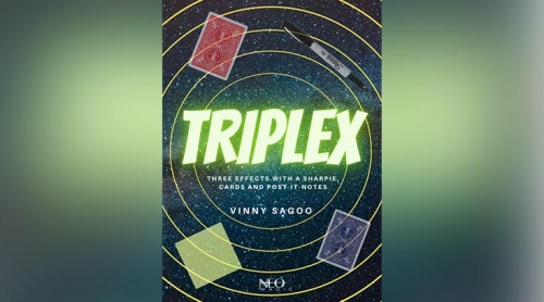 Triplex by Vinny Sagoo