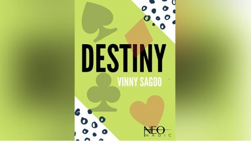 Destiny by Vinny Sagoo