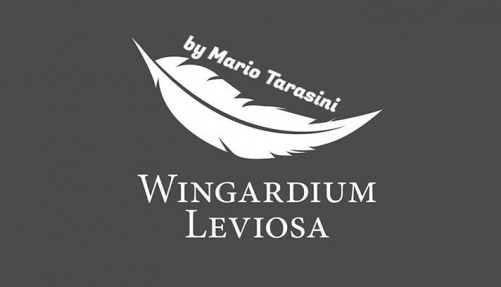 Wingardium Leviosa by Mario Tarasini