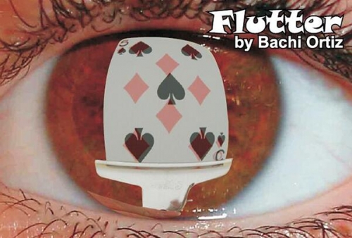 Flutter by Bachi Ortiz