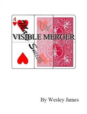 Visible Merger by Wesley James