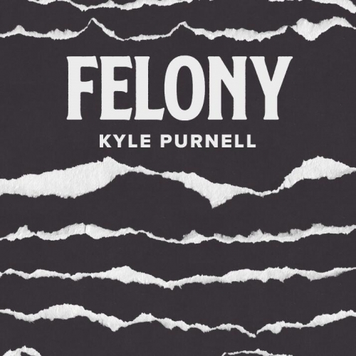 Felony by Kyle Purnell