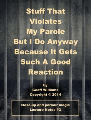 Stuff That Violates My Parole by Geoff Williams