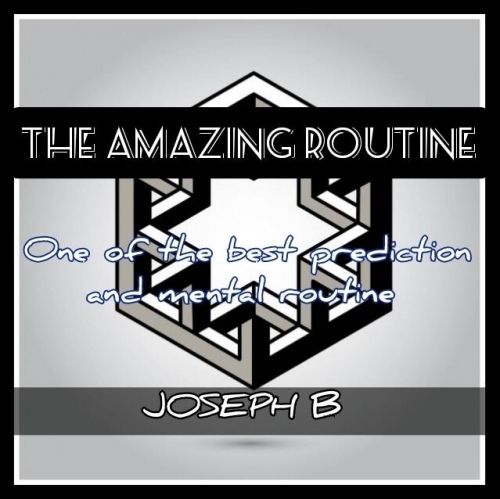 THE AMAZING ROUTINE by Joseph B.