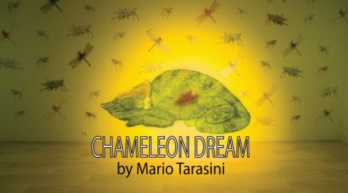 Chameleon Dream by Mario Tarasini