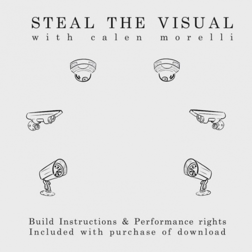 Steal The Visual by Calen Morelli