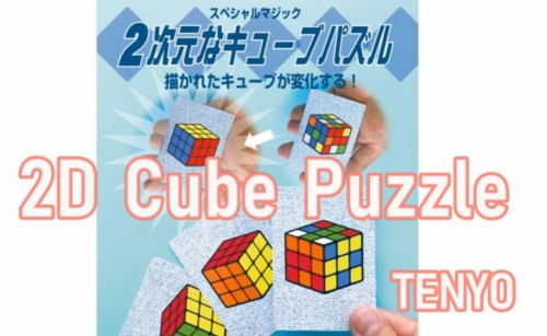 2D Cube Puzzle by Tenyo (PDF + Video)