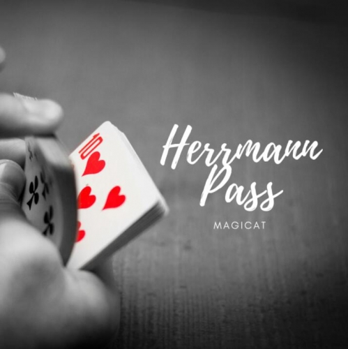 Herrmann Pass by Magicat