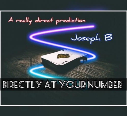 DIRECTLY AT YOUR NUMBER by Joseph B.
