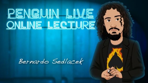 Bernardo Sedlacek LIVE