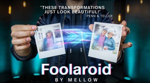 Foolaroid by Mellow