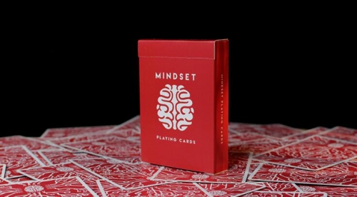 Mindset Secrets by Anthony Stan