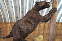 Parque de atracciones estatua del oso pardo para la decoración
