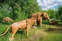 Figuras de animales de tamaño natural León