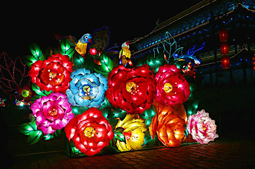 Chinese Art Lantern Show of Christmas