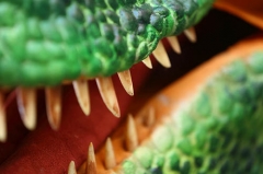 Realistic Dragon Puppet