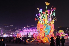 Decorated Lantern Show Flowers China Lantern Festival