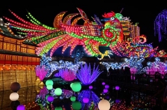 Decorated Lantern Show Flowers China Lantern Festival