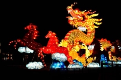 Festival de iluminación animal atractivo linternas chinas