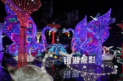 Decorated Lantern Show Flowers China Lantern Festival