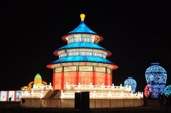 Decorated Lantern Show Flowers China Lantern Festival