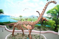 Esqueleto original de dinosaurio de tamaño natural del museo