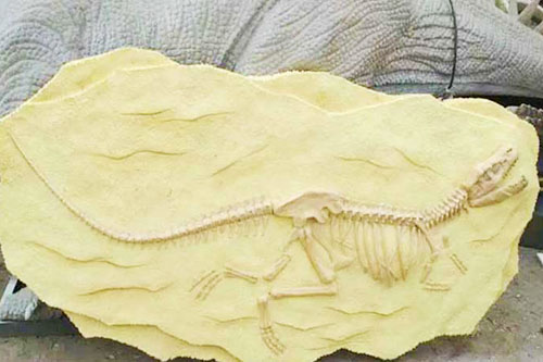 Esqueleto de dinosaurio de alta simulación del museo