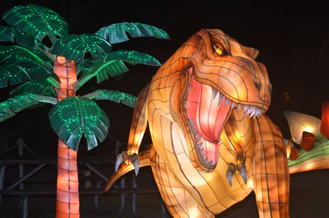 Animal Lantern show