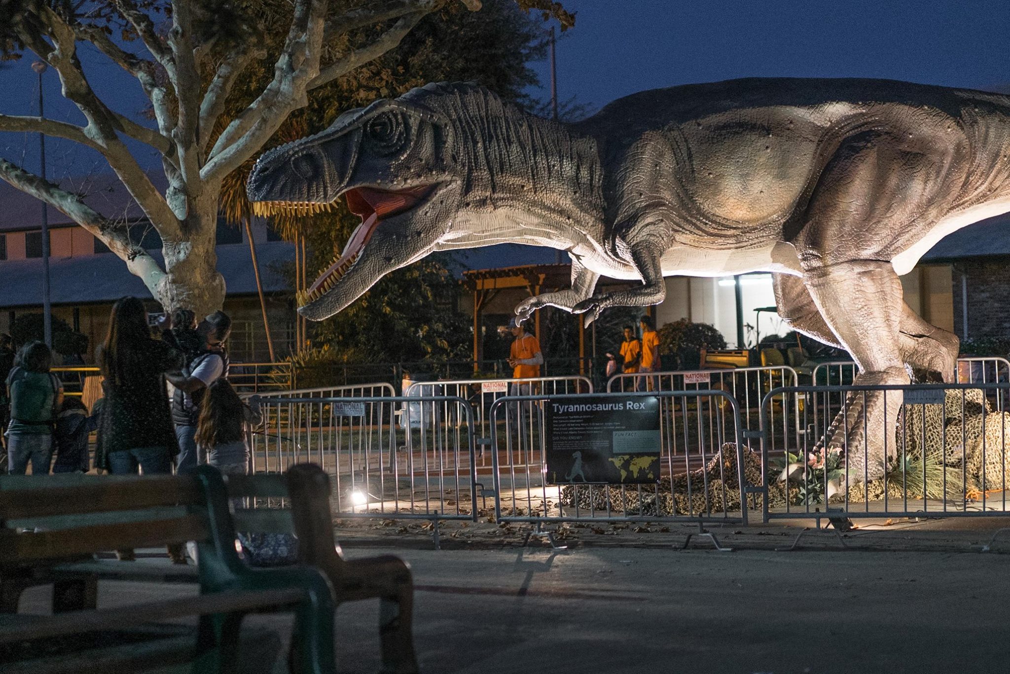 Тираннозавр Rex в парке Пермского периода