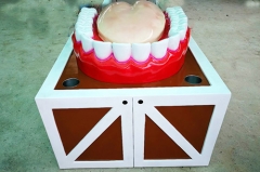 Fiberglass Teeth Model for Display