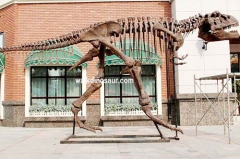 Escultura de esqueleto de dinosaurio T-rex de tamaño natural