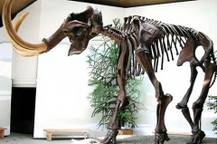 Esqueleto de Mamuthus realista